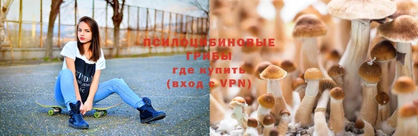 бошки Семикаракорск