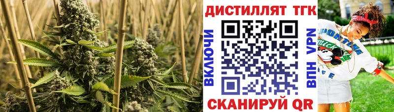 Дистиллят ТГК THC oil  Купить закладки  Горячий Ключ 