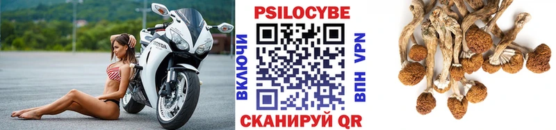 Купить закладки  Горячий Ключ  Галлюциногенные грибы мухоморы 